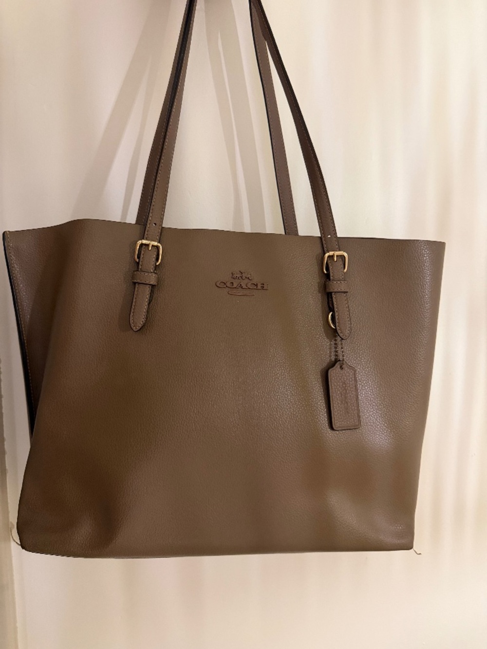Coach Mollie tote- dark stone/gold